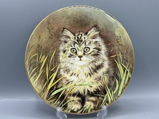 Royal worcester kitten for sale  POULTON-LE-FYLDE