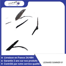 Pneu leonard summer d'occasion  Saint-Quentin