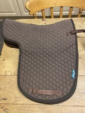Nuumed working hunter for sale  SHEPTON MALLET