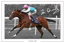 Tom queally frankel for sale  UK