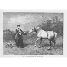 Heywood hardy caught for sale  GLASGOW