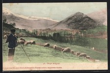 Cpa ariége berger usato  Spedire a Italy