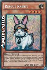 Inglese rescue rabbit usato  Ravenna