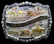 Nswpha age open for sale  Mayfield