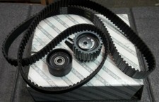 71754557 kit cinghia usato 71754557 kit cinghia usato  Villanova Solaro