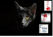 Enzymreiniger Geruchsentferner Katzenurin Tierurin Urinsteinentferner BIo ab 1 L, usado comprar usado  Enviando para Brazil