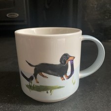 Dachshund sausage dog for sale  ACCRINGTON