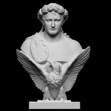 Buste napoléon pla d'occasion  Lodève