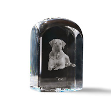 Tosa Inu ,Tosa-Hund - Cubi Cristallo Con Immagine,Hundebild IN na sprzedaż  PL