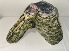 Thrive semi aquatic for sale  Covington