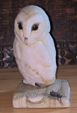 Teviotdale scotland owl for sale  MELTON MOWBRAY