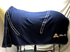 Used unbranded horse for sale  CALDICOT
