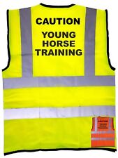 Young horse training for sale  PLYMOUTH