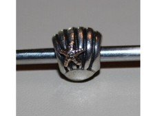 Pandora bicolor charm gebraucht kaufen  Ratekau
