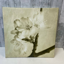 Square flower cherry for sale  Saint Louis