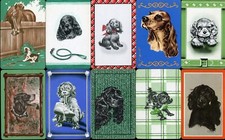 Cocker spaniel english for sale  UK