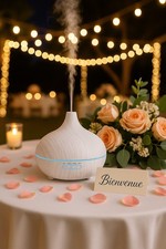 Humidificateur diffuseurs parf d'occasion  Paris VIII