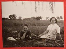 Photo rovigo villa usato  Pistoia