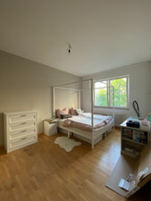 Himmelbett 200 200 gebraucht kaufen  Berlin