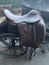 Pony cob horse for sale  CHESTER LE STREET