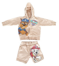 Next paw patrol gebraucht kaufen  Idstein