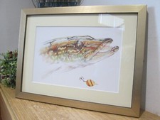 Colourful framed pike for sale  ARBROATH
