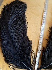 Lot arnciennes plumes d'occasion  Yzeure