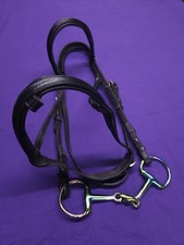 Collegiate pony size for sale  ALFORD