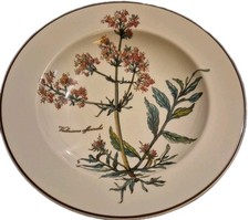 Assiette creuse botanica d'occasion  Dreux