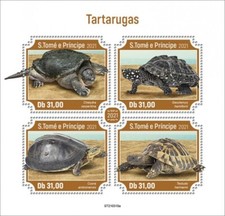 Thomas 2021 turtles for sale  Wilmington
