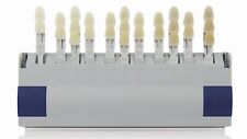 Vita farbskala toothguide gebraucht kaufen  Ratekau