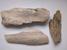Mixed collection driftwood for sale  TAUNTON