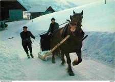 Animaux chevaux retour d'occasion  Fruges