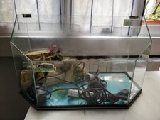 Tartarughiera completa usata usato  Milano