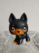 Petshop chien type d'occasion  Saint-Malo