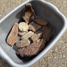 Box fossils fossilised for sale  NORWICH
