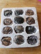 Faux rocks uplifting for sale  Beemer