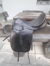 Prestige appaloosa zoll gebraucht kaufen  Rannungen