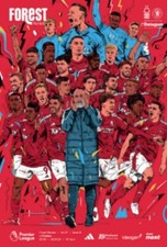 2024 nottingham forest for sale  BRISTOL