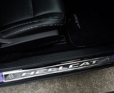 Door sills hellcat for sale  Hudson