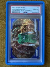 Jordan pickford everton for sale  BRIGHTON