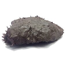 Magnetite pietra vera usato  Carpi
