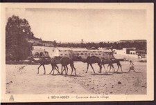 Béni abbès caravane d'occasion  Bellegarde