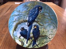Macaw plate hyacinth for sale  BALLYCLARE