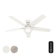 Hunter fan casual for sale  Carol Stream