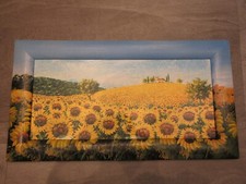 bild sonnenblumen gebraucht kaufen bild sonnenblumen gebraucht kaufen Vienenburg