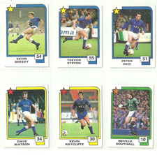 Everton panini soccer for sale  BEVERLEY