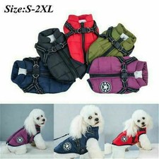 Hiver animal chien d'occasion  France
