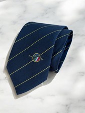 Cravatta aia associazione usato  Massarosa