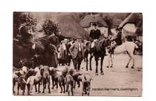 Old postcard haldon for sale  PAIGNTON